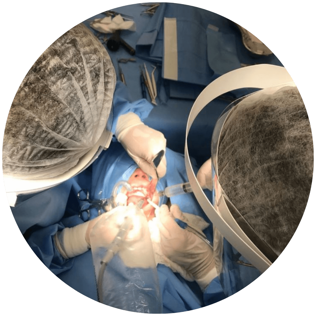 Odontologia Hospitalar (orientações a família) - Andréa Ávila Odontologia
